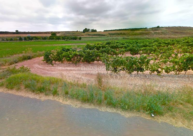 Foto b778b0c0-ce11-4329-be91-7e458646e0d0. Finca rústica a Alberite