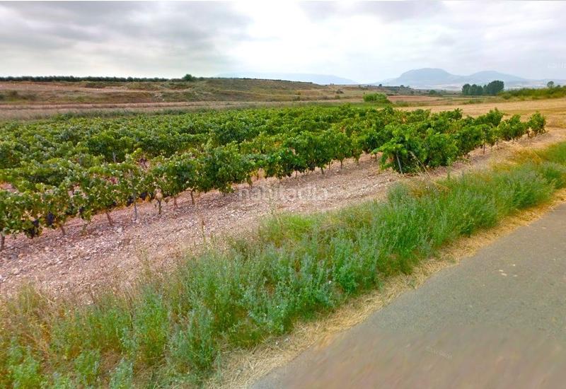 Foto e7288749-a16c-4cc4-b1bd-1498597874d7. Finca rústica a Alberite