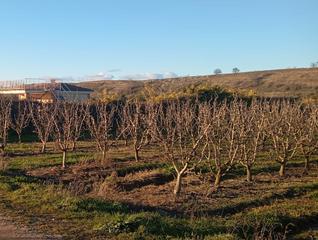 Propriété à Mendavia. Perales
