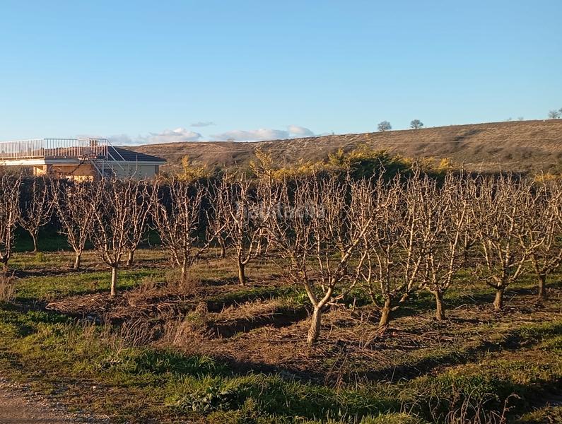Foto ff9fadef-866c-4d76-9256-c1757c071e92. Finca rústica a Mendavia
