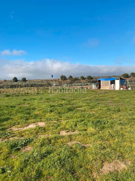 Foto 40840a17-5b37-47ed-b11d-0fc2ab3558f6. Finca rústica a Navarrete