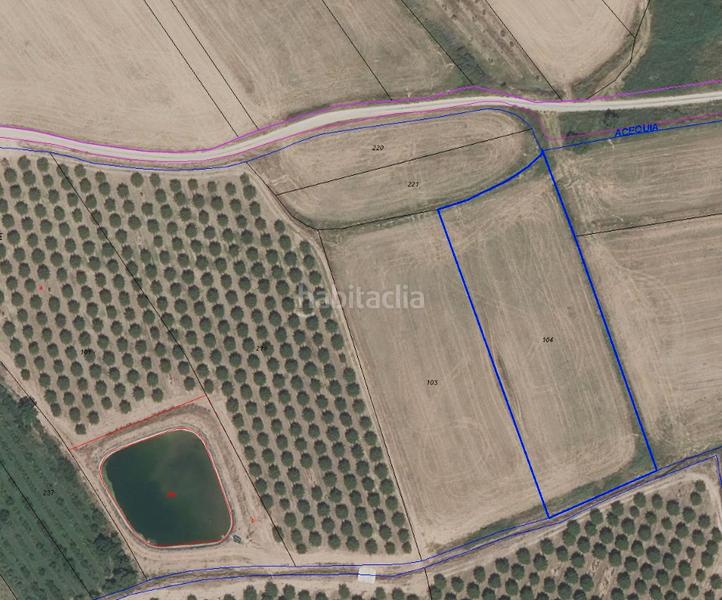 Foto 0e5fbb39-d22a-4051-ba88-caf598bb97cb. Landgut in Alberite