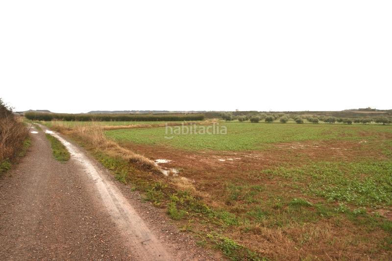 Foto 21a7d50b-54a7-468a-8481-7a0e557ad474. Fondo rustico in Alberite