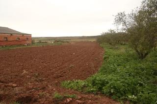 Finca rústica a Alberite. Finca de regadío