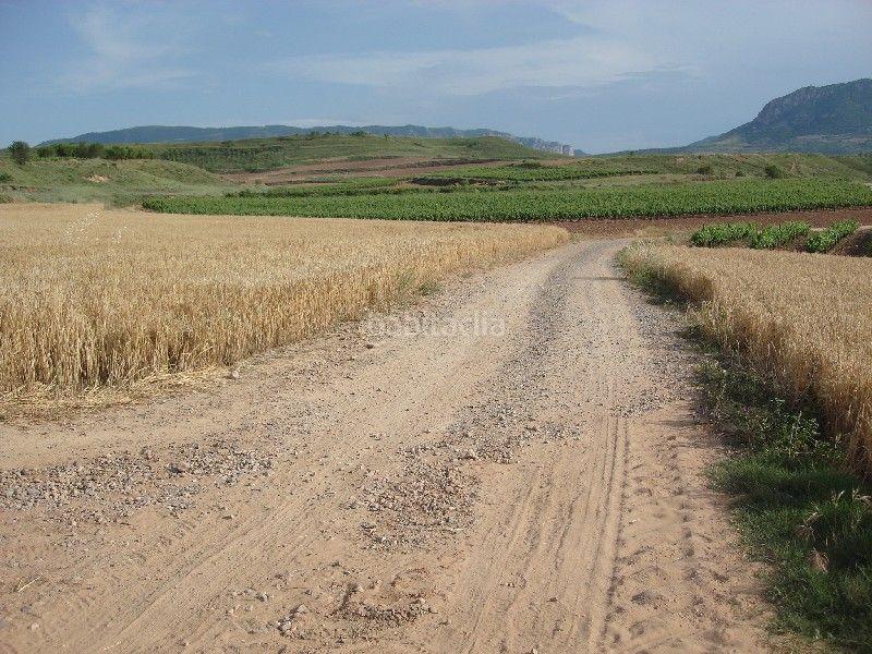 Foto 1fdf0c45-1d3c-4883-a618-7974733e4f78. Propriété dans Alberite