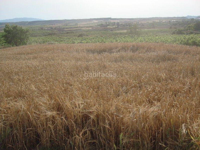 Foto 491e08c4-9994-4768-9860-c1a7806f258f. Propriété dans Alberite