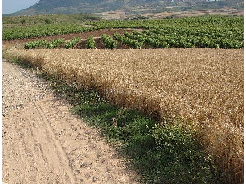 Foto d9750086-eb51-4399-b153-a918d08201d7. Propriété dans Alberite