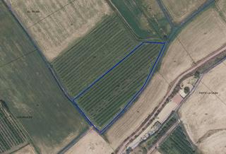 Finca rústica a Alberite. Perales