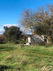 Propriété à La Estrella. Finca de regadío