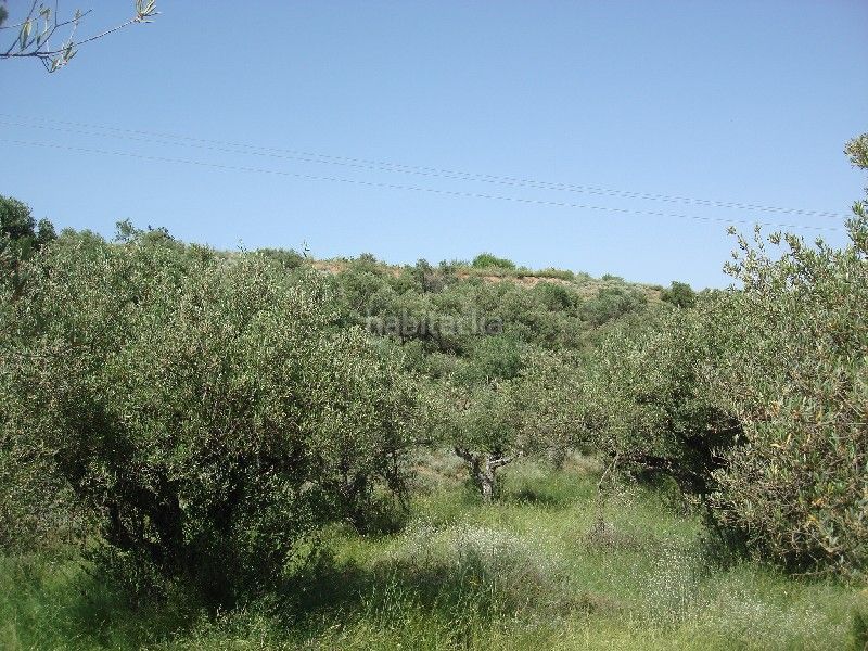 Foto 12b64f28-0268-4a70-8d75-ae299932a4d0. Finca rústica a Villamediana de Iregua