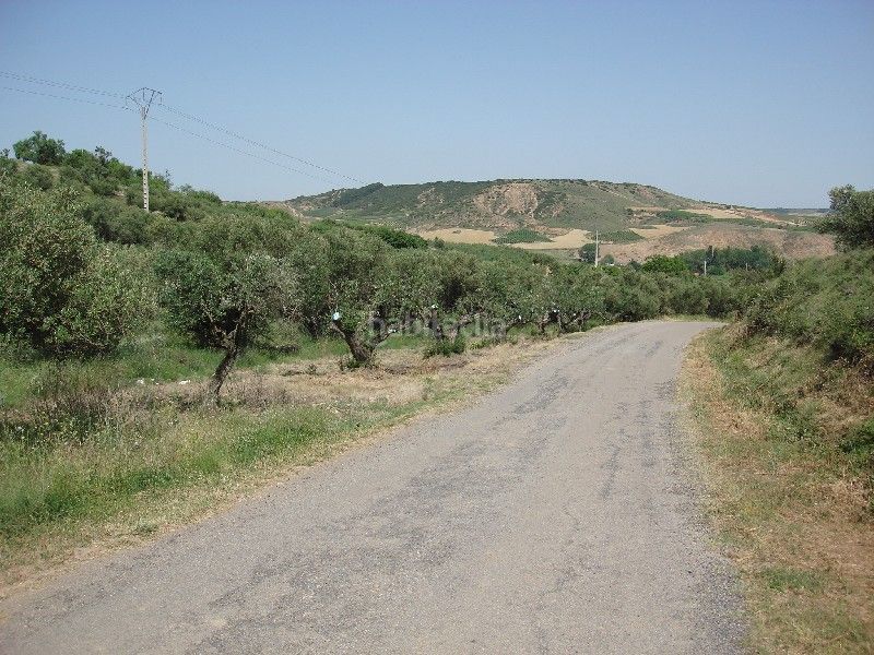 Foto d1150e5c-675b-4aaa-bf6d-6986f1f015db. Finca rústica a Villamediana de Iregua
