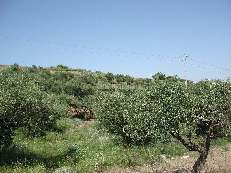 Foto e29d3099-6765-4042-baa8-320c881eb5f0. Finca rústica a Villamediana de Iregua
