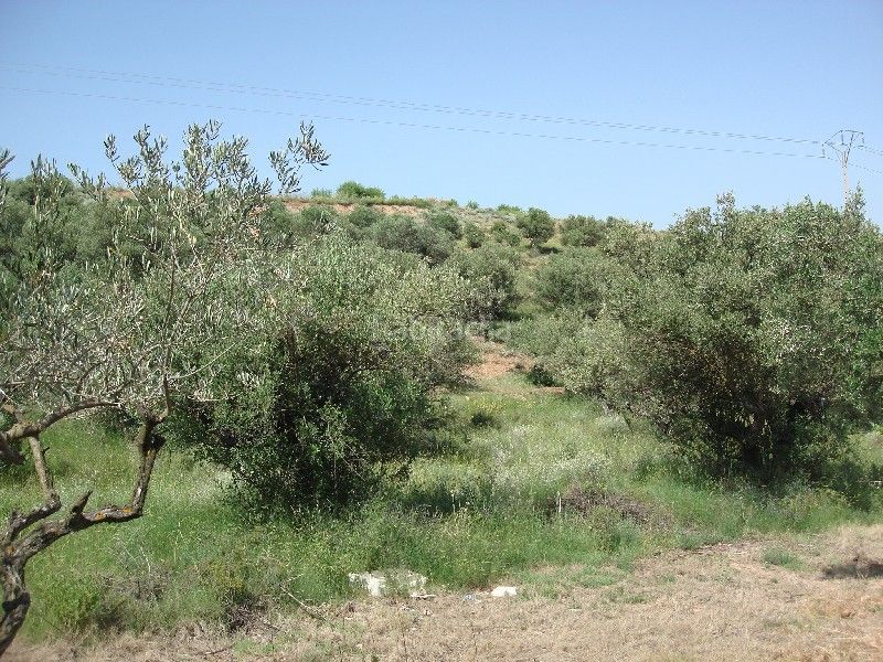 Foto fd24cd3e-9a12-4038-bbf9-b0a7cf369ab3. Finca rústica a Villamediana de Iregua