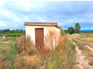 Finca rústica a Viana. Finca con caseta