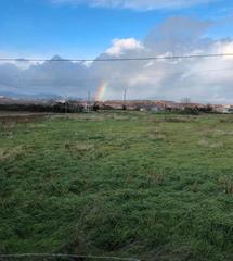 Propriété à Camino de cascajos 24. Finca de regadío