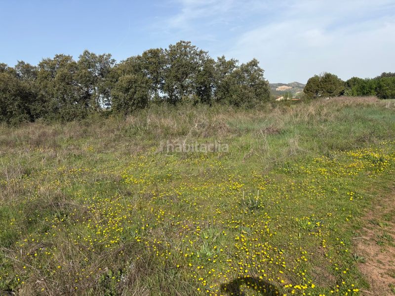 Foto 477309ed-26c0-4afc-b516-f337e3a1ca3a. Finca rústica a Alberite