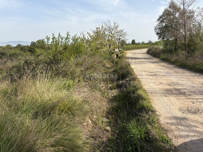 Foto c3bd0840-5f55-45b0-a945-cb22657b8450. Finca rústica a Alberite