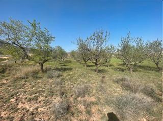 Finca rústica a Ribafrecha. Finca cerca del pueblo