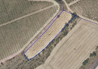 Finca rústica a San Torcuato
