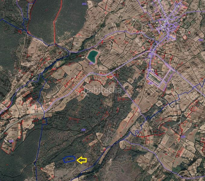 Foto 6b384650-5b3e-47ad-8b62-4c8b0013c00d. Fondo rustico in Medrano