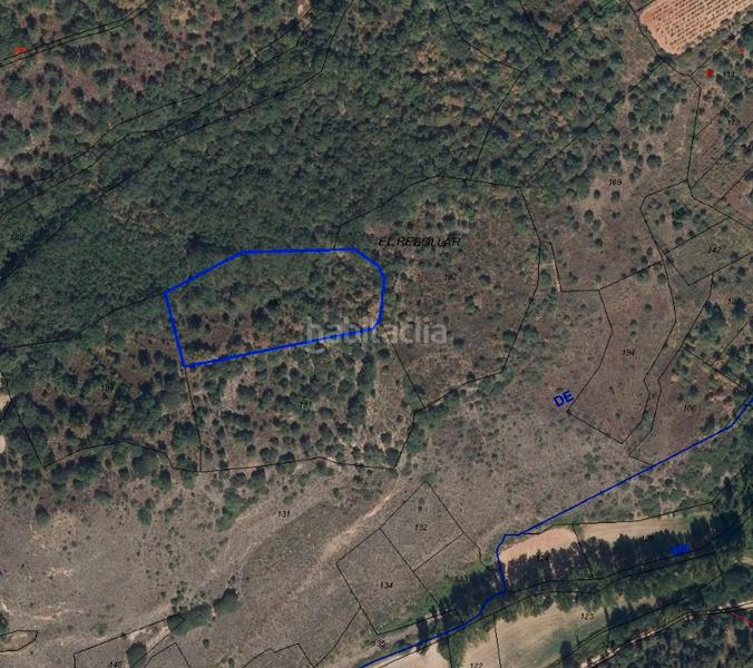 Foto a3af1274-b55d-4548-b9d2-8cdc18e4f4c8. Fondo rustico in Medrano