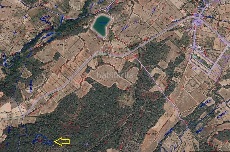 Foto 3eb4397f-ba82-4b29-9ca7-8e23852cf6db. Landgut in Medrano