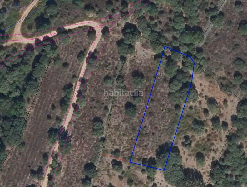 Foto 68ebdce6-0d9a-4a6c-ad52-be1c92ddff45. Fondo rustico in Medrano