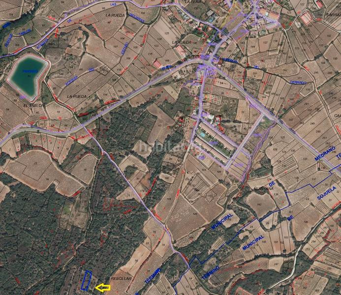 Foto fbf35435-6df8-4db5-a0ae-bb67b307b39e. Fondo rustico in Medrano