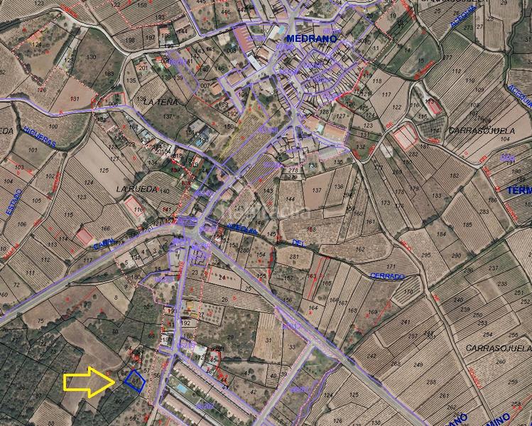 Foto c492e821-d95f-4881-b46f-a094192a11cb. Propriété dans Medrano