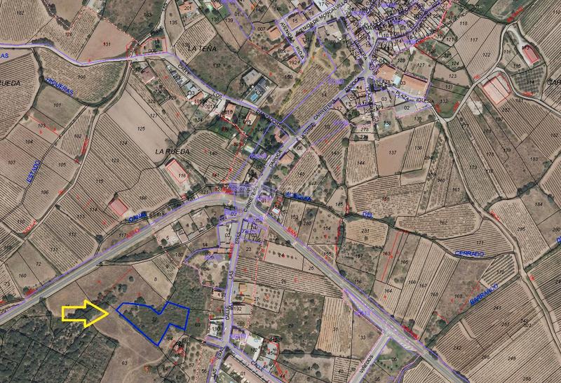 Foto d1840d7c-50cb-4373-90b9-7498649b0c20. Propriété dans Medrano