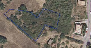 Finca rústica a Medrano. Finca cerca del pueblo