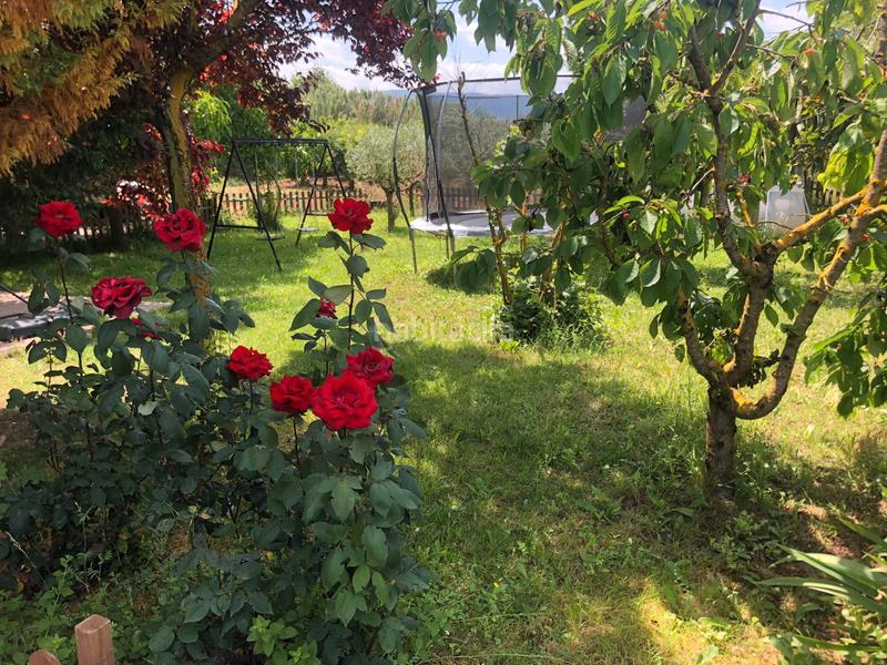 Foto f0c0956b-4654-4d15-b48a-490aff68077f. Propriété dans Murillo de Río Leza