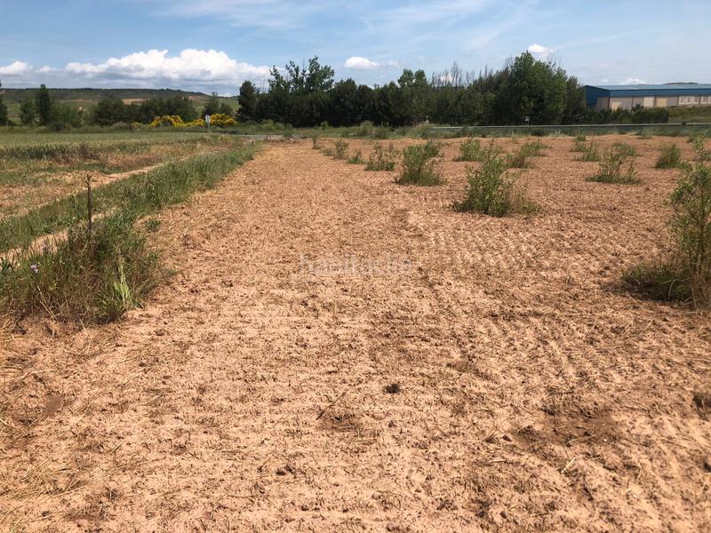 Foto 2429385e-50f5-476d-b6e0-9f62f8cf1f84. Landgut in Murillo de Río Leza