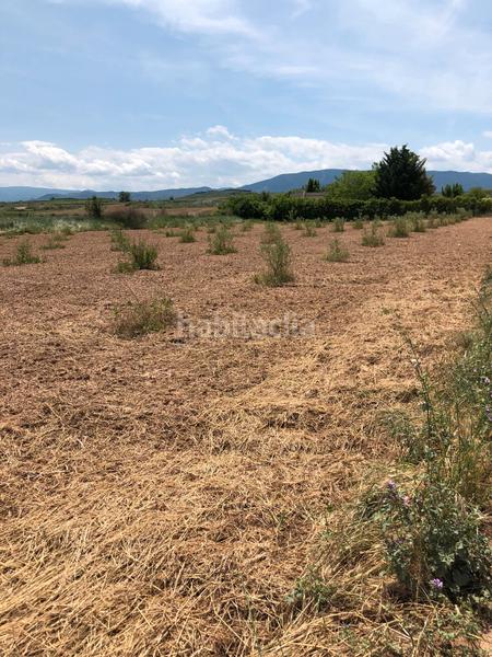 Foto 2429bc9c-06dd-4a69-a2e8-66007478c39b. Landgut in Murillo de Río Leza