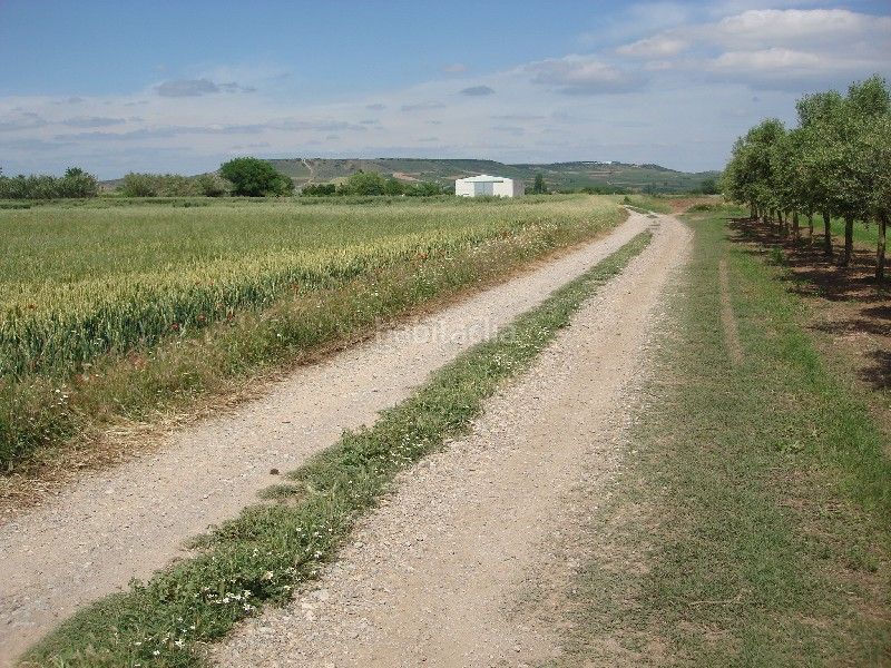 Foto e7db56cd-e2fa-4499-b7a1-c76eedc78d09. Finca rústica a Villamediana de Iregua