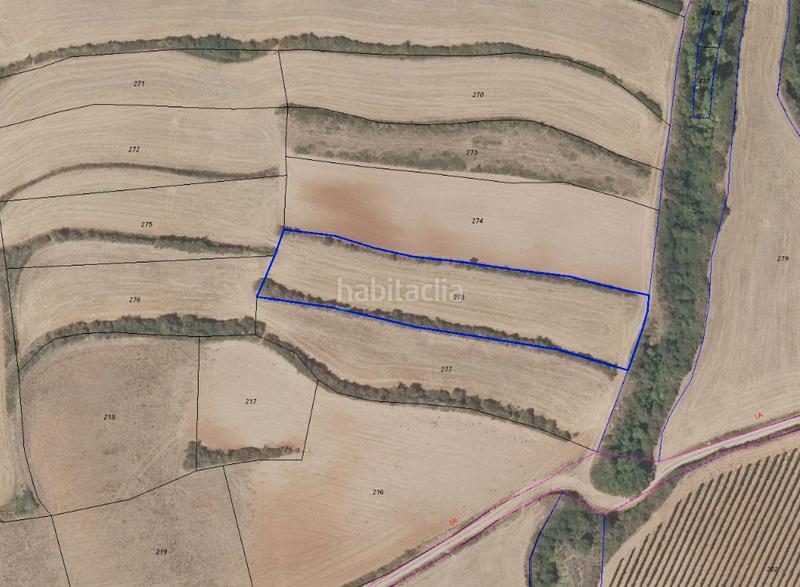 Foto 28300114-919e-413d-8121-aa1700d76146. Finca rústica finca de secano en Clavijo