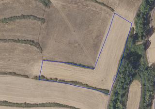 Rural plot in Clavijo