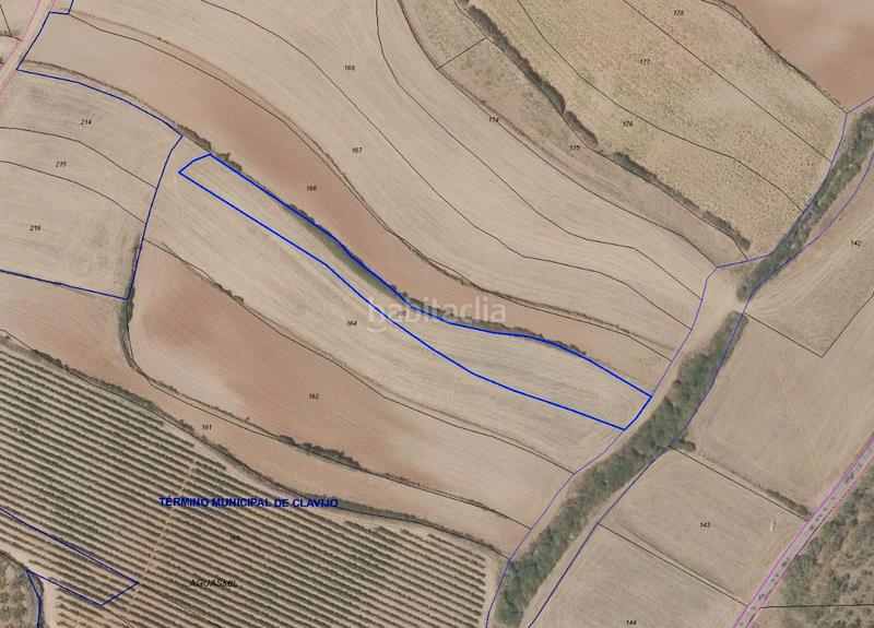 Foto a302a3bc-b56c-4977-8012-2d44a9cecce5. Finca rústica finca de secano en Clavijo