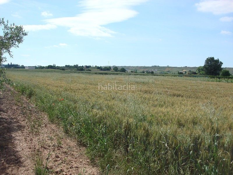 Foto c5fe3f67-385c-4cfc-82e0-d864afd887ee. Finca rústica a Villamediana de Iregua