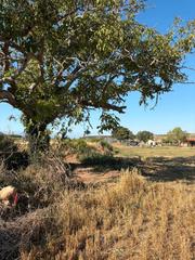 Rural plot in Villamediana de Iregua