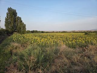 Fondo rustico in Villamediana de Iregua. Finca de regadío