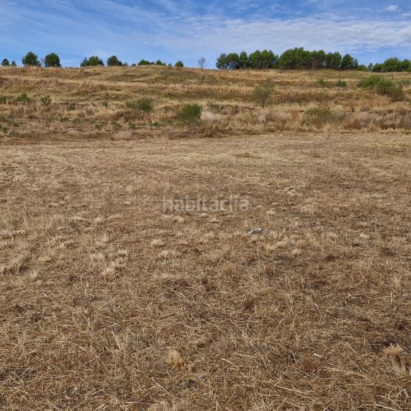 Foto 115000d6-9e74-47e8-b0d1-9a07727f14d7. Finca rústica a Navarrete