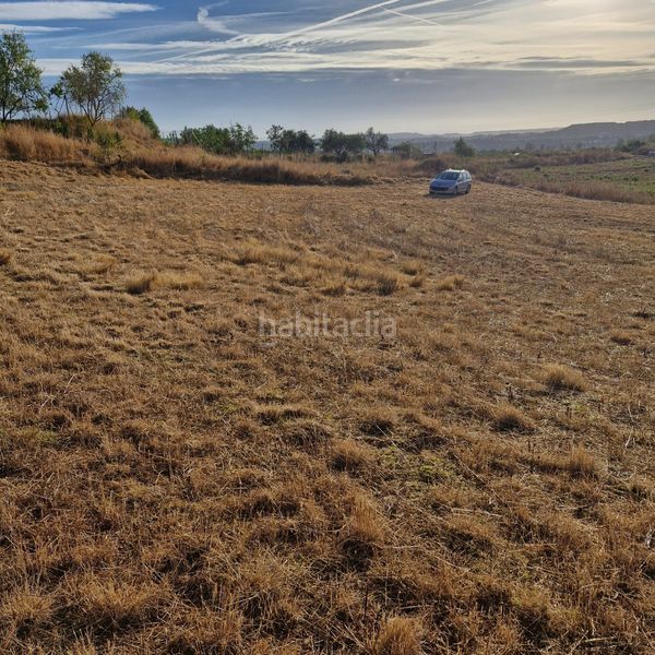 Foto cd2618eb-6366-4375-83d3-ed40f70383b9. Finca rústica a Navarrete