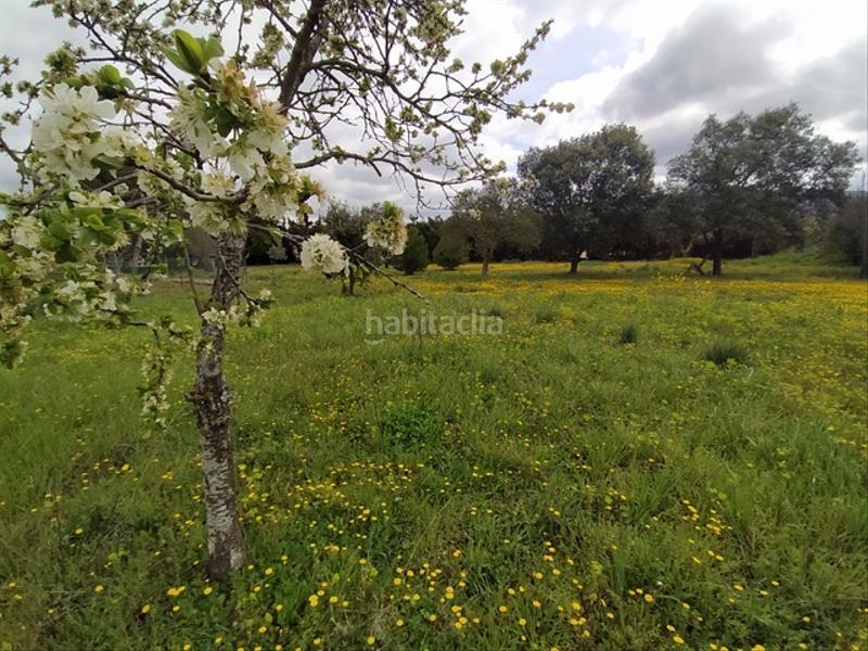 Foto c688ffe5-e9e1-4db2-9b59-af8b80a8e9a8. Landgut in Nalda