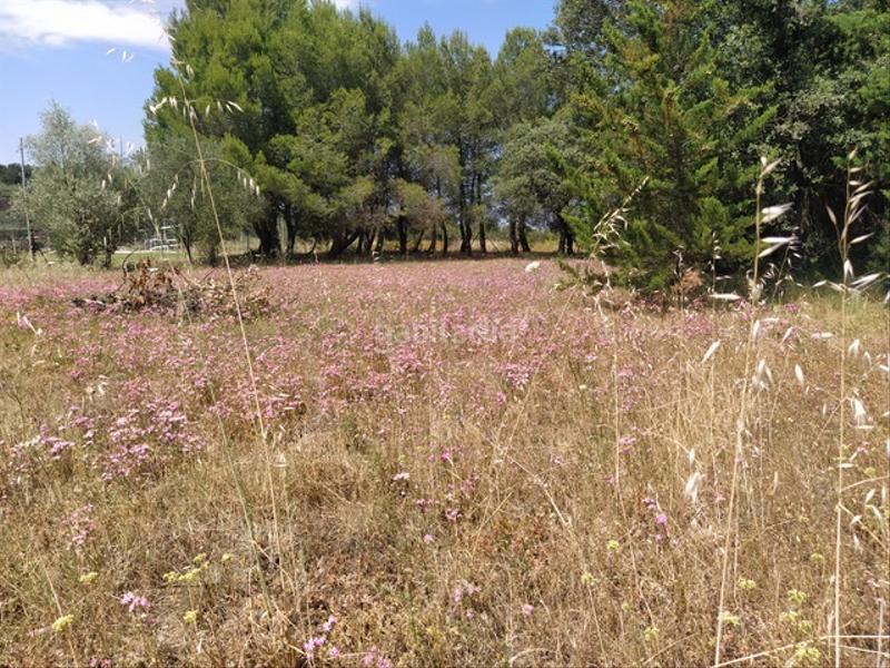 Foto c8d7147e-4602-4f4c-adbf-b8a9dfa3a7a1. Landgut in Nalda