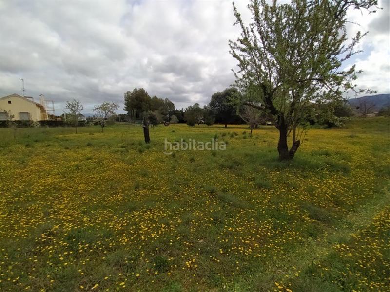 Foto f8541a8c-7cb3-47f2-8d5a-8e7d8abdee51. Landgut in Nalda