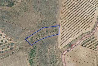 Rural plot in Villamediana de Iregua. Finca de secano