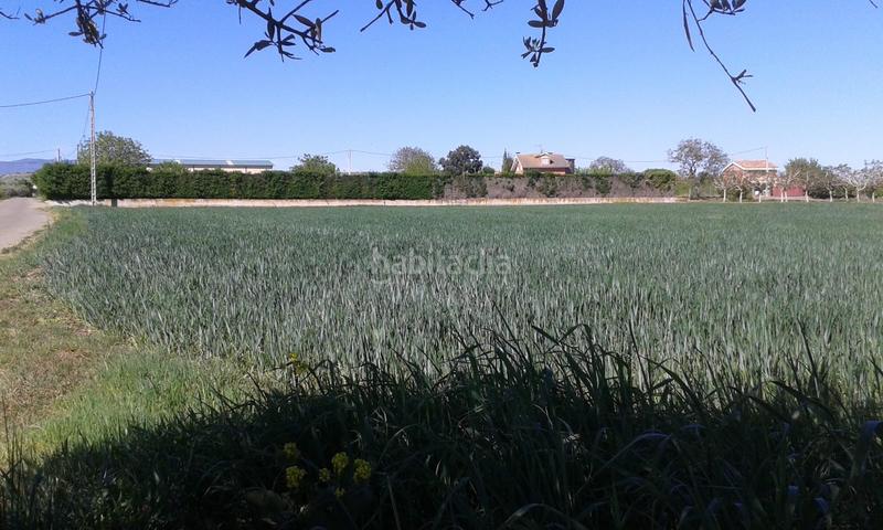 Foto 564cf562-25fe-4bef-b169-4b406bd867e6. Fondo rustico in Alberite