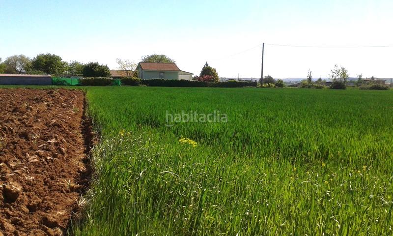 Foto c60cdeaa-3829-4ae1-a234-43d0308f62b7. Fondo rustico in Alberite