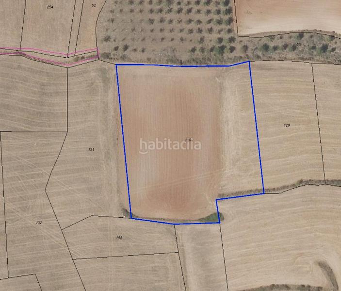 Foto 0e37703a-c757-4052-be5a-bfbefd591da2. Landgut in Albelda de Iregua